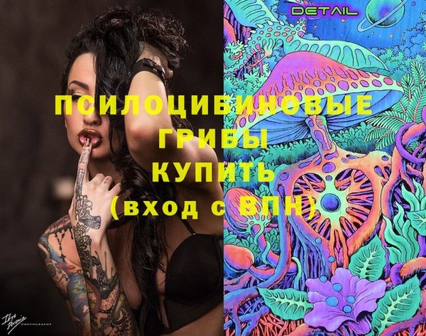 бошки Алексеевка