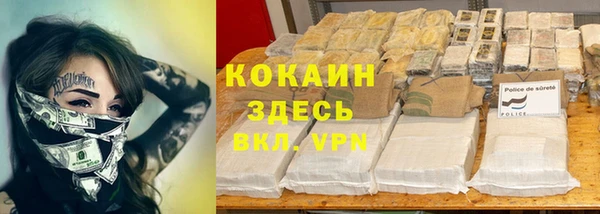 кокс Алексин