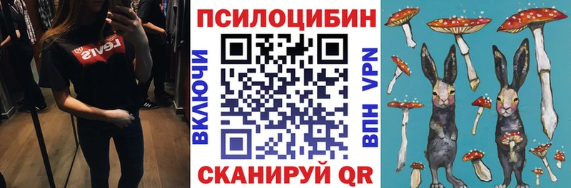 OMG зеркало  наркота  Дудинка  Галлюциногенные грибы Magic Shrooms 